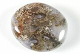 1.7" Polished Moss Agate Pocket Stones  - Photo 3